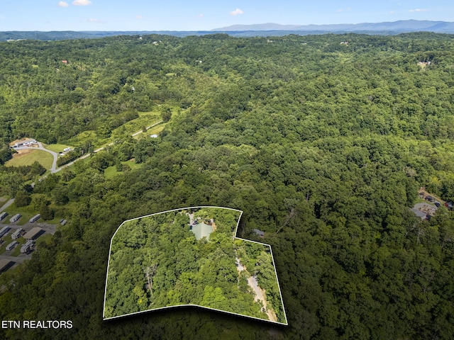 142 Campbell Way, Newport, TN 37821 - aerial view of property and surrounding area featuring a heavily wooded area and property boundaries highlighted