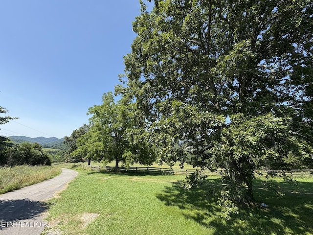 365 Young Ln, Tazewell, TN 37879 - photo 3