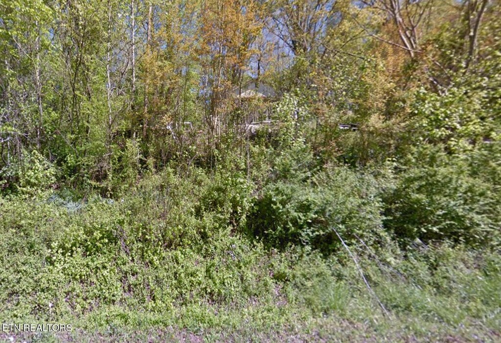 1570 Sandy Ridge Rd, Dandridge, TN 37725