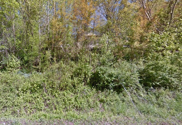 1570 Sandy Ridge Rd, Dandridge, TN 37725