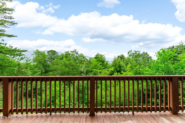 617 Almost Heaven Way, Gatlinburg, TN 37738 - photo 15