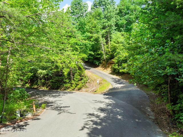 617 Almost Heaven Way, Gatlinburg, TN 37738 - photo 38