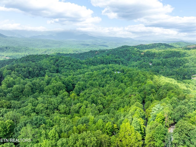 617 Almost Heaven Way, Gatlinburg, TN 37738 - photo 39