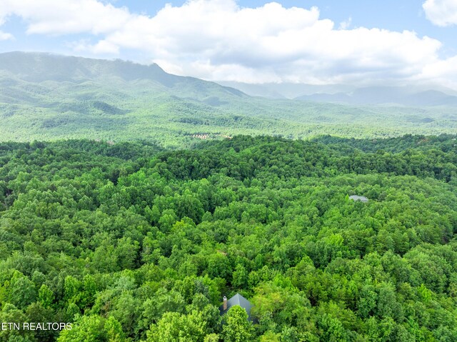 617 Almost Heaven Way, Gatlinburg, TN 37738 - photo 40