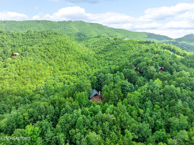 617 Almost Heaven Way, Gatlinburg, TN 37738 - photo 41