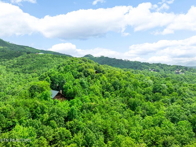 617 Almost Heaven Way, Gatlinburg, TN 37738 - photo 42
