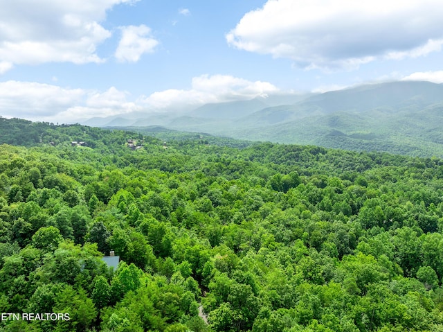 617 Almost Heaven Way, Gatlinburg, TN 37738 - photo 43