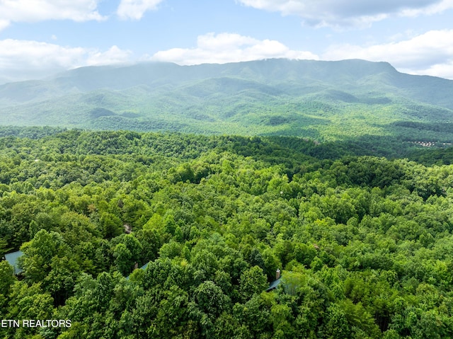 617 Almost Heaven Way, Gatlinburg, TN 37738 - photo 44