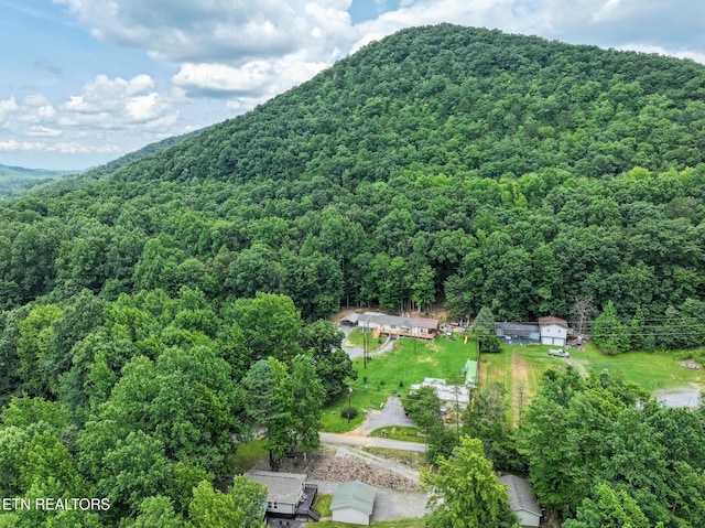 149 Giles Rd, Cosby, TN 37722 - view of mountain background with a heavily wooded area