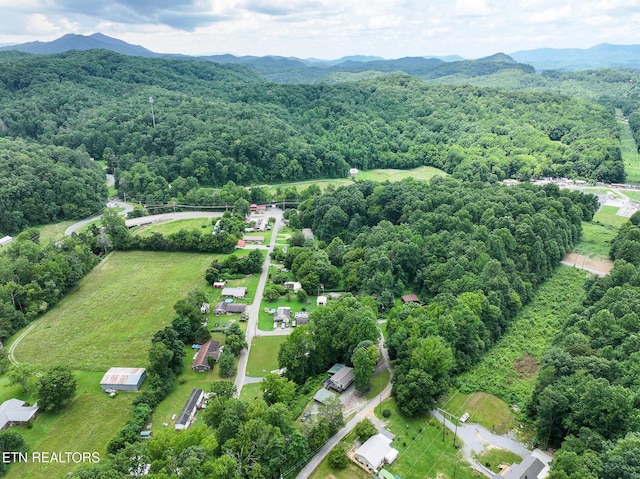 149 Giles Rd, Cosby, TN 37722 - bird's eye view of a forest and a mountainous background