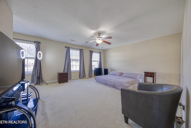1432 Caribou Ln, Knoxville, TN 37931 - photo 22