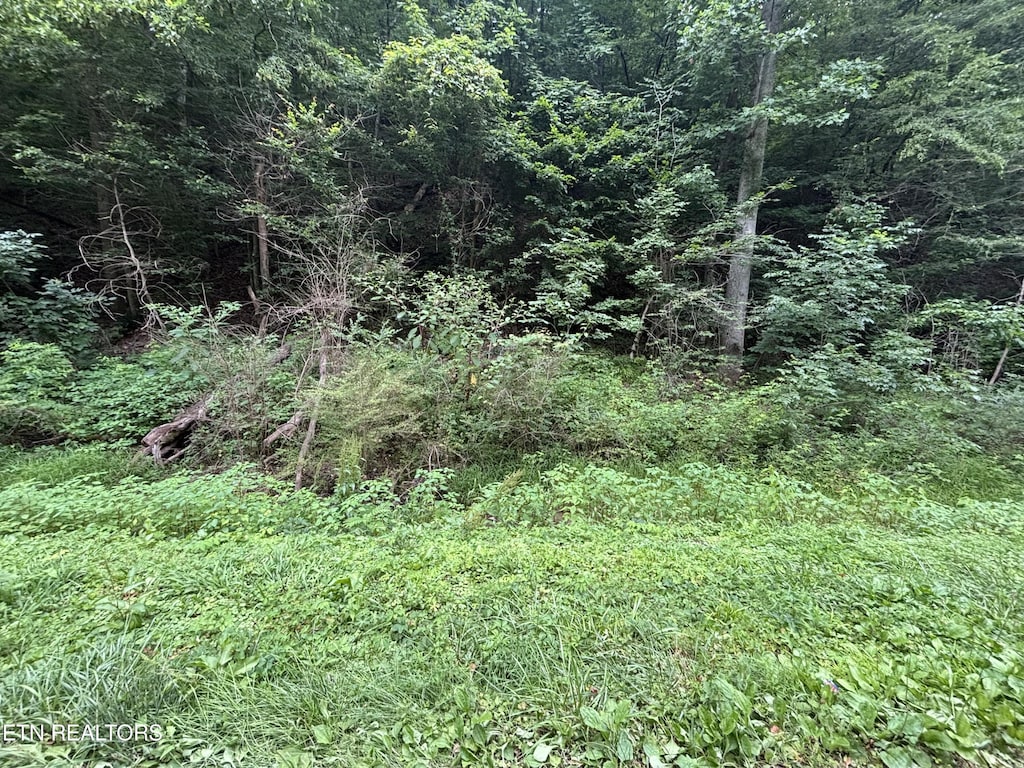 Ruritan Rd, Harriman, TN 37748