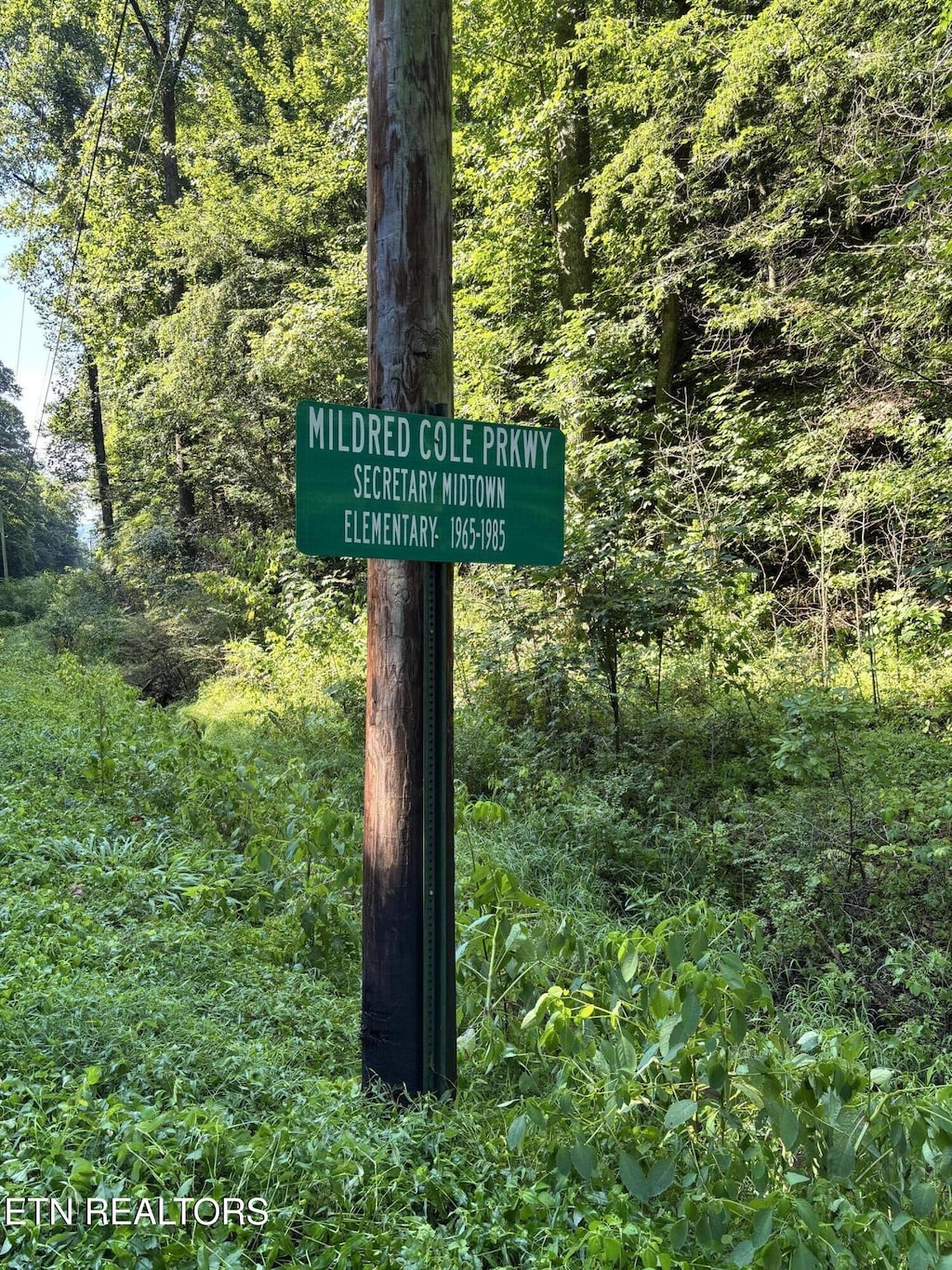Ruritan Rd, Harriman, TN 37748