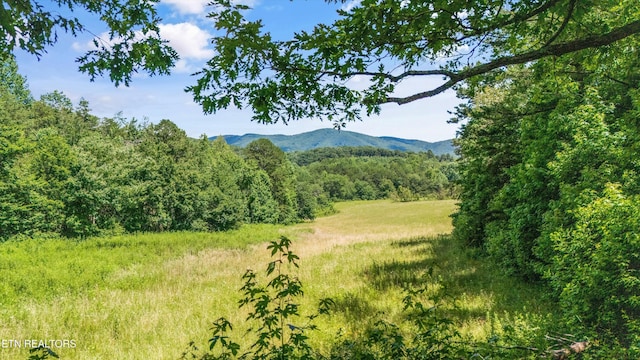 11325 New Highway 68, Tellico Plains, TN 37385 - mountain view featuring a heavily wooded area