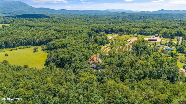 11325 New Highway 68, Tellico Plains, TN 37385 - aerial view of a mountain backdrop