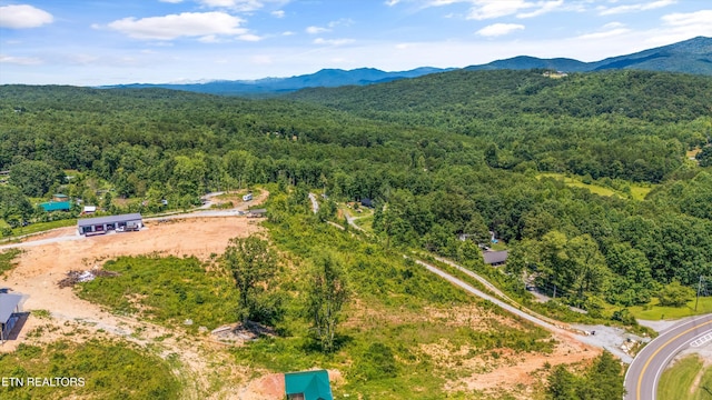 11325 New Highway 68, Tellico Plains, TN 37385 - aerial view of a forest and a mountain backdrop