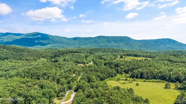 11325 New Highway 68, Tellico Plains, TN 37385 - view of mountain backdrop with a heavily wooded area