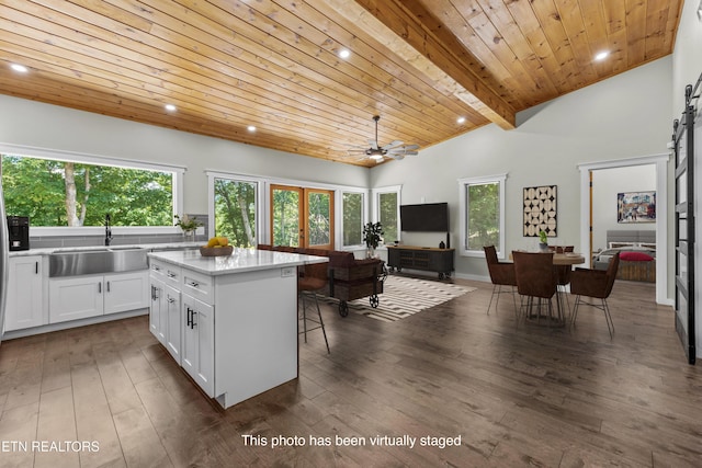 11325 New Highway 68, Tellico Plains, TN 37385 - kitchen with a center island, white cabinets, wooden ceiling, dark wood-style flooring, and lofted ceiling