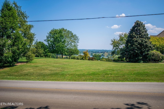 LOT17 Gravelly Hills Rd, Louisville, TN 37777 - photo 5