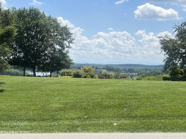 LOT17 Gravelly Hills Rd, Louisville, TN 37777 - photo 7