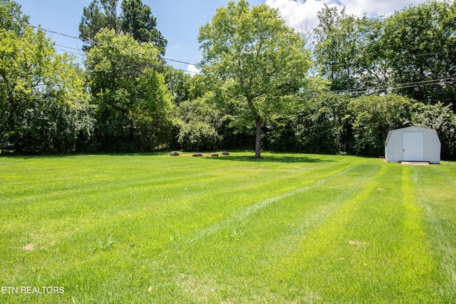 224 Luther Jackson Dr, Maryville, TN 37804 - photo 37