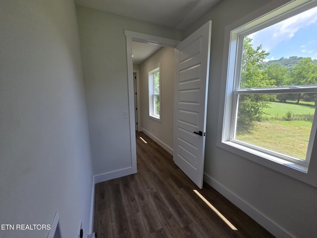1846 Topsail Ct, Kingsport, TN 37664 - photo 26