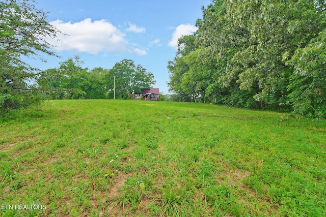 S York Hwy, Jamestown, TN 38556