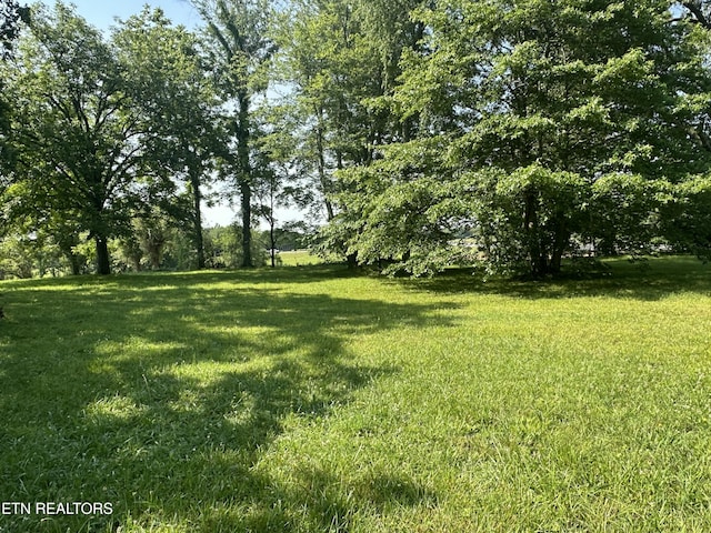 S York Hwy, Jamestown, TN 38556