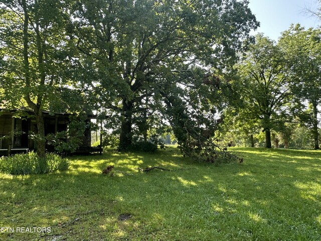 S York Hwy, Jamestown, TN 38556