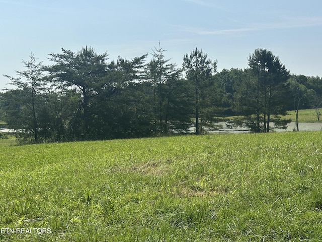 S York Hwy, Jamestown, TN 38556