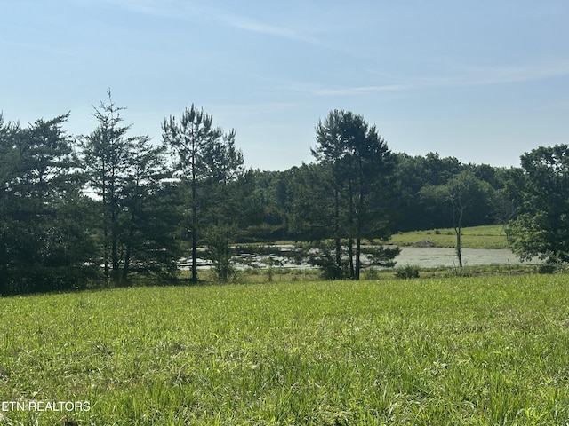 S York Hwy, Jamestown, TN 38556