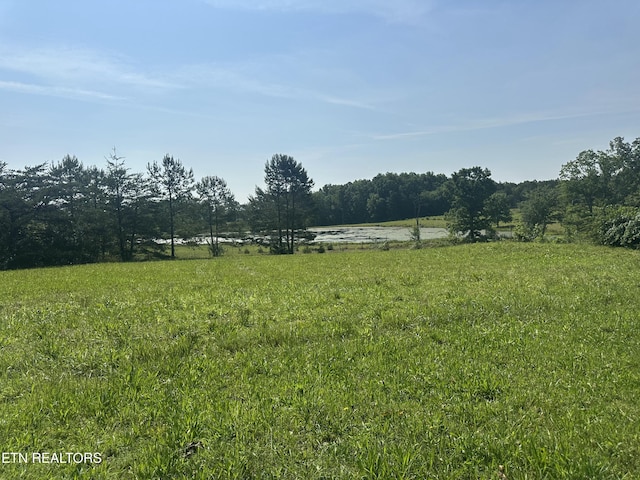 S York Hwy, Jamestown, TN 38556