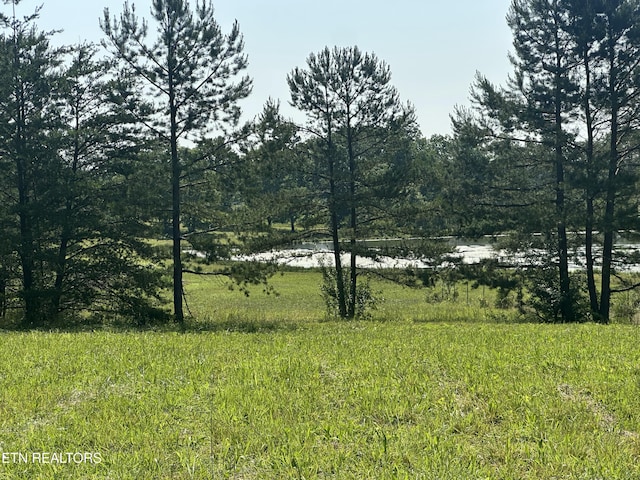 S York Hwy, Jamestown, TN 38556