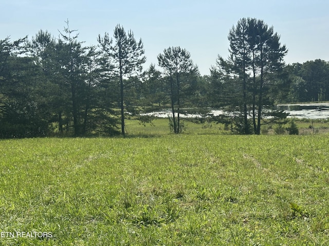 S York Hwy, Jamestown, TN 38556