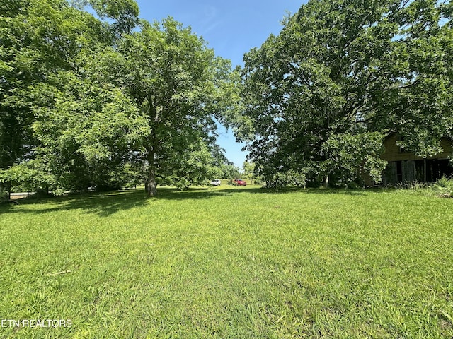 S York Hwy, Jamestown, TN 38556