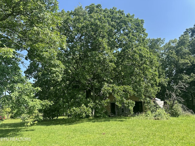 S York Hwy, Jamestown, TN 38556