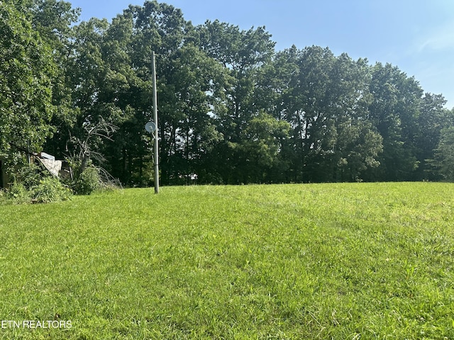 S York Hwy, Jamestown, TN 38556