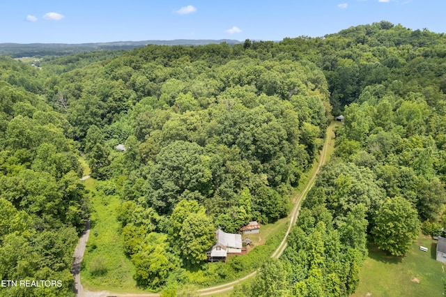 1548 Hawk Ln, Seymour, TN 37865 - photo 25