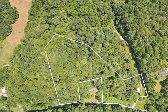 1548 Hawk Ln, Seymour, TN 37865 - photo 26