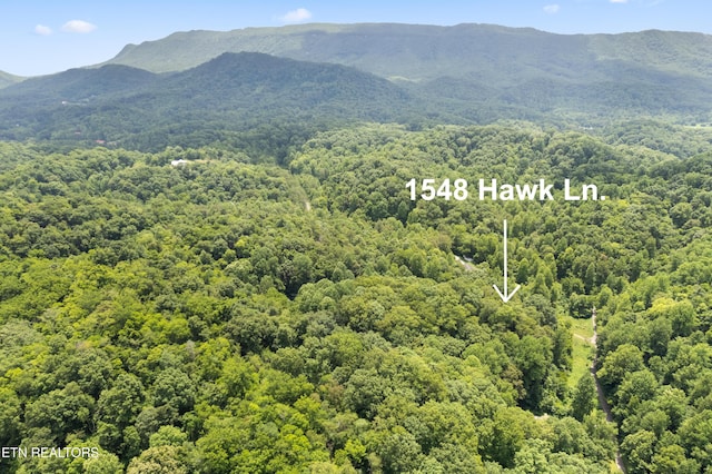 1548 Hawk Ln, Seymour, TN 37865 - photo 27