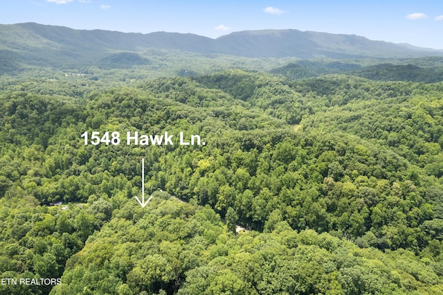 1548 Hawk Ln, Seymour, TN 37865 - photo 28