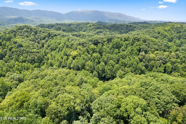 1548 Hawk Ln, Seymour, TN 37865 - photo 29