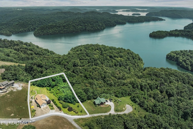 61 Brim Ln, Hilham, TN 38568 - view of property location with a heavily wooded area and property boundaries highlighted