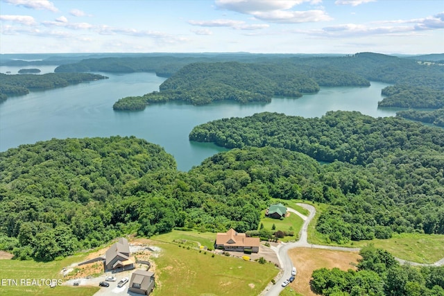61 Brim Ln, Hilham, TN 38568 - drone / aerial view of a heavily wooded area and a large body of water