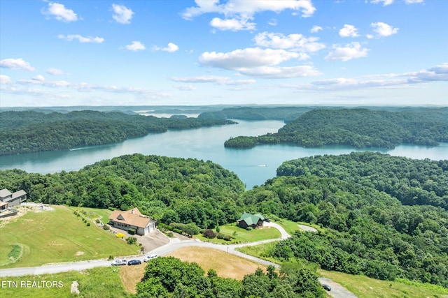 61 Brim Ln, Hilham, TN 38568 - aerial view of a forest and a nearby body of water