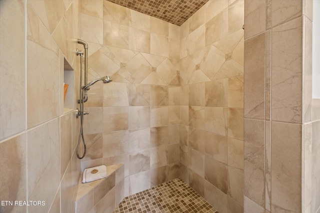 61 Brim Ln, Hilham, TN 38568 - bathroom featuring a tile shower