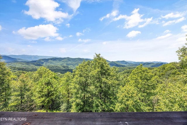 4868 Settlers View Ln, Sevierville, TN 37862 - photo 27