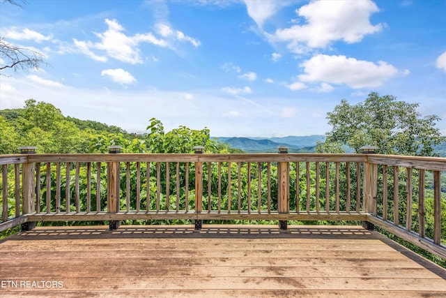 4868 Settlers View Ln, Sevierville, TN 37862 - photo 36