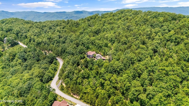 4868 Settlers View Ln, Sevierville, TN 37862 - photo 41