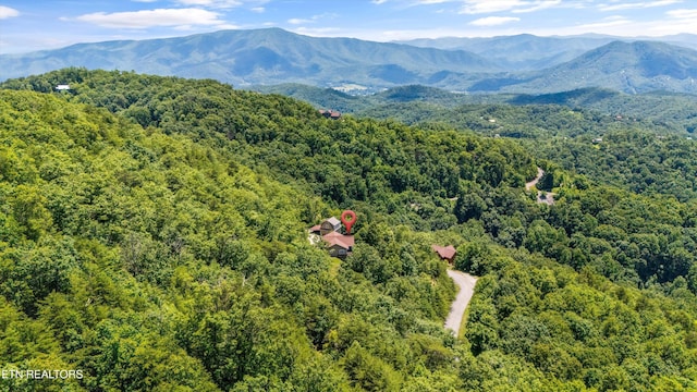 4868 Settlers View Ln, Sevierville, TN 37862 - photo 42